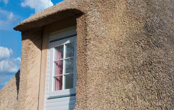 Rise thatch roof disadvantages