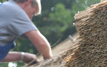 professional Rise thatchers